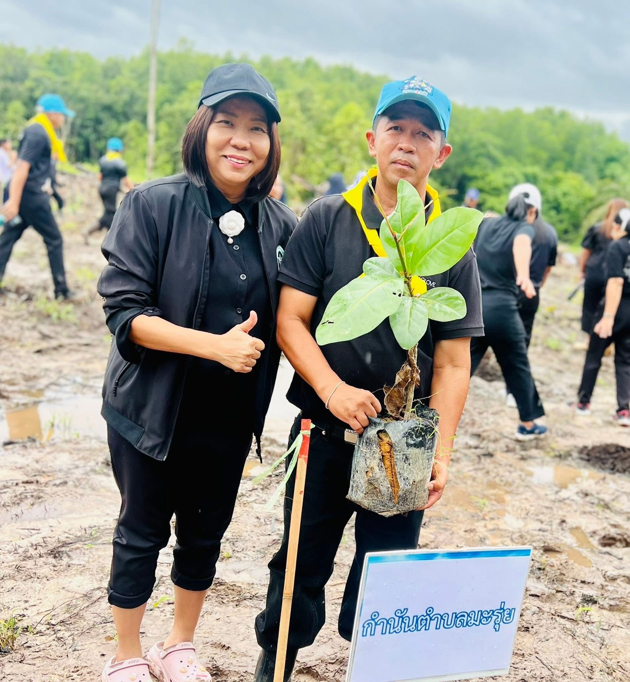 สำนักงานสาธารณสุขอำเภอทับปุด ร่วมกิจกรรมรวมพลังแห่งความภักดี ปลูกป่าเพื่อถวายเป็นพระราชกุศลแด่ สมเด็จพระนางเจ้าสิริกิติ์ พระบรมราชินีนาถ พระบรมราชชนนีพันปีหลวง